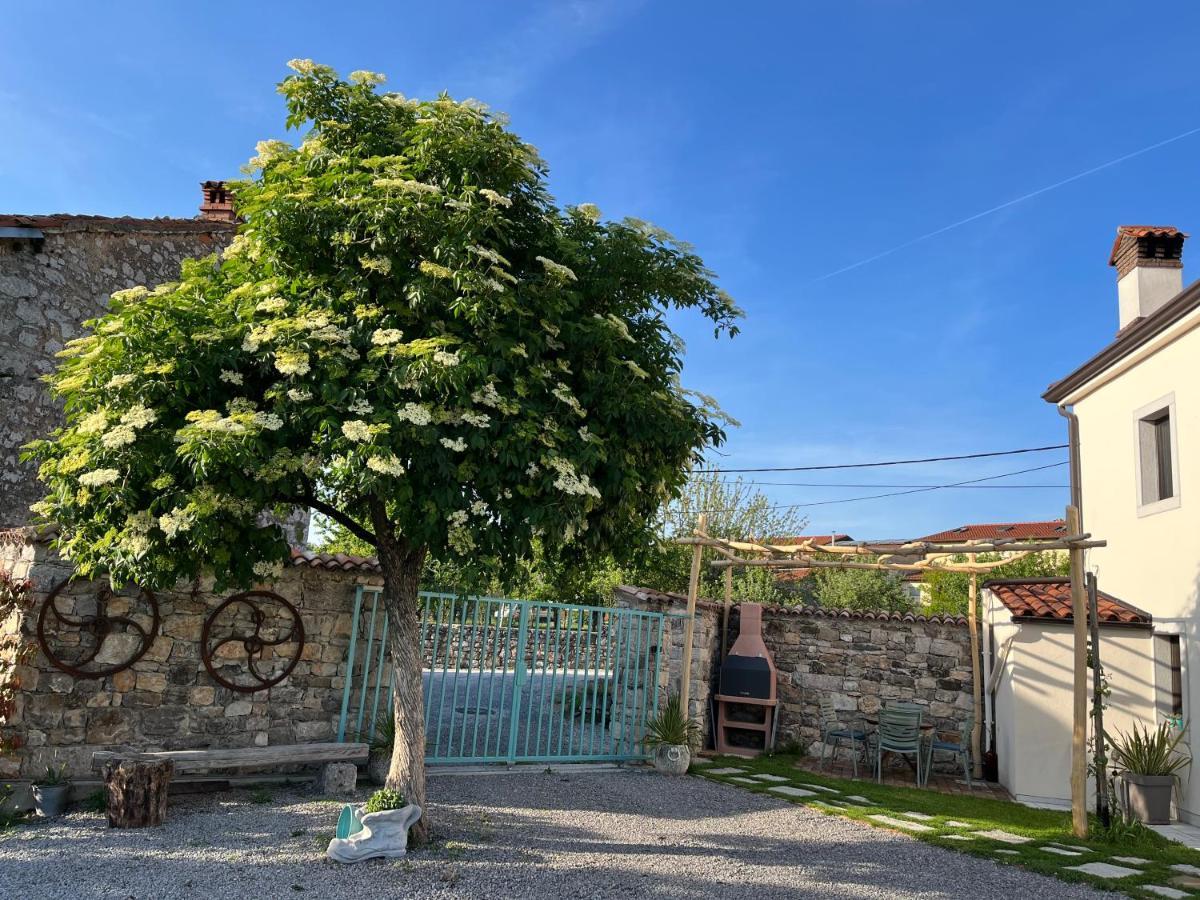 Apartma Ob Stari Murvi, 세자나 외부 사진